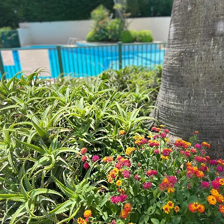 Paradistay Канны